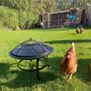 Digiteck Outdoor Firepit with BBQ Grill | Multi-Use Log Burner & Cooler - Image 8