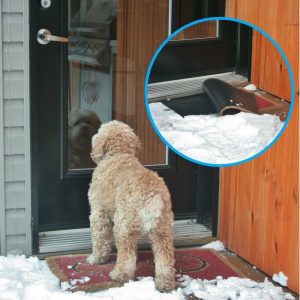 Digiteck B7 Hidden Pressure-Activated Mat Alarm – Intruder Alert & Chime for Entryways - Image 4